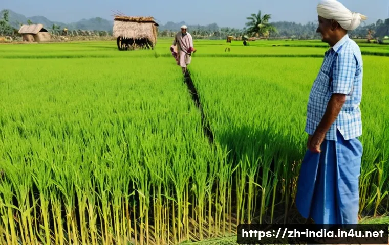 인도 농촌 경제의 특성과 문제점 - A vibrant, wide-angle shot of a flourishing golden rice paddy field under a clear blue sky in rural ...